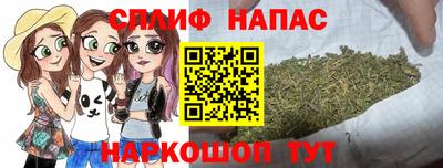 spice Новодвинск