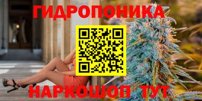 гашик Новозыбков