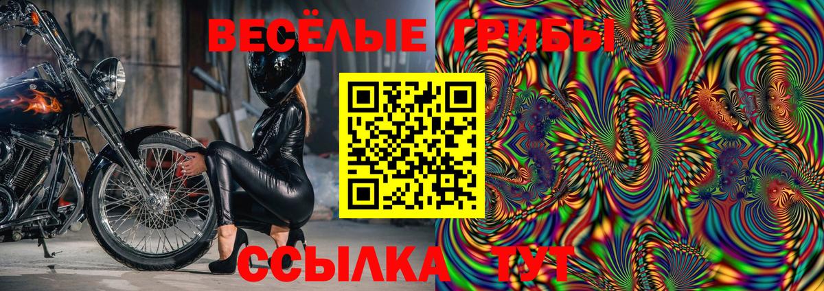 Псилоцибиновые грибы прущие грибы  Псилоцибиновые грибы Psilocybe  Вход с VPN  Сегежа 