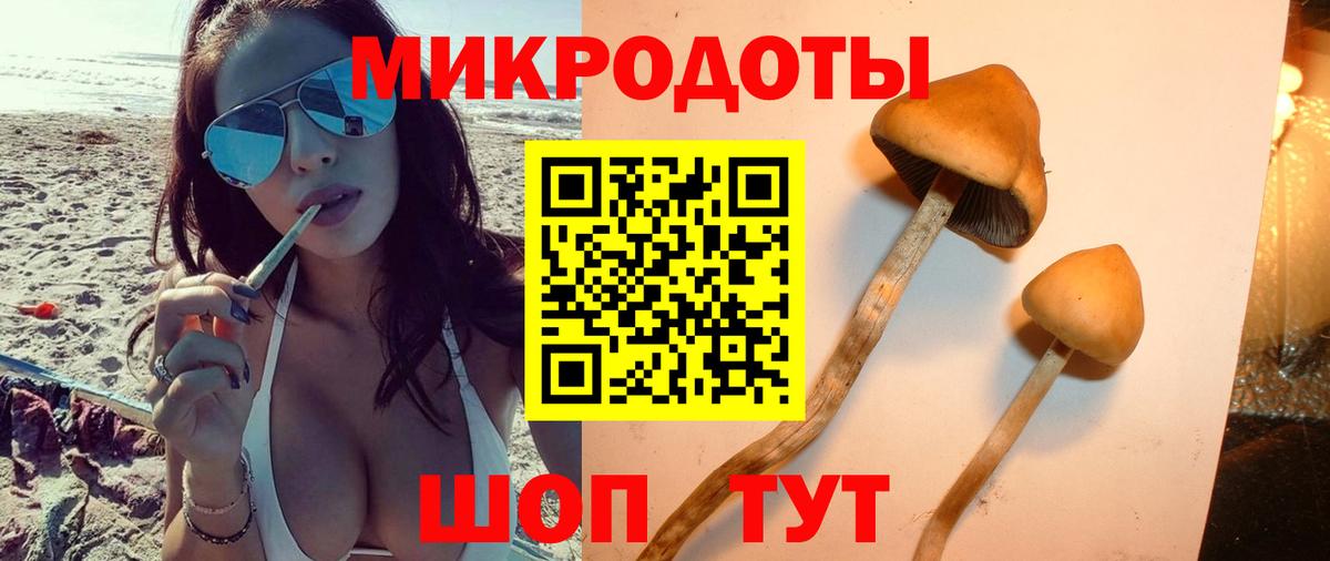 Галлюциногенные грибы GOLDEN TEACHER Сегежа